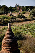 Bagan Myanmar. Cluster of red brick temples near Min myaw yaza  